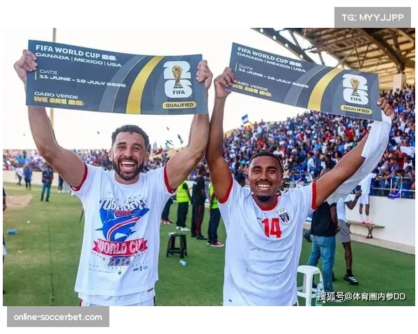 北美多元文化环境将为2026世界杯营造独特球迷氛围